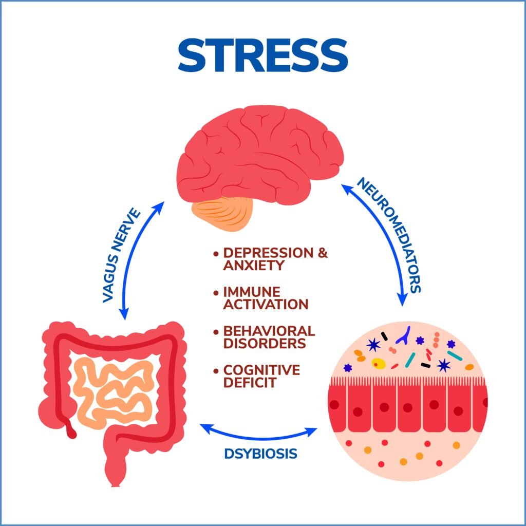 Gut Brain Axis